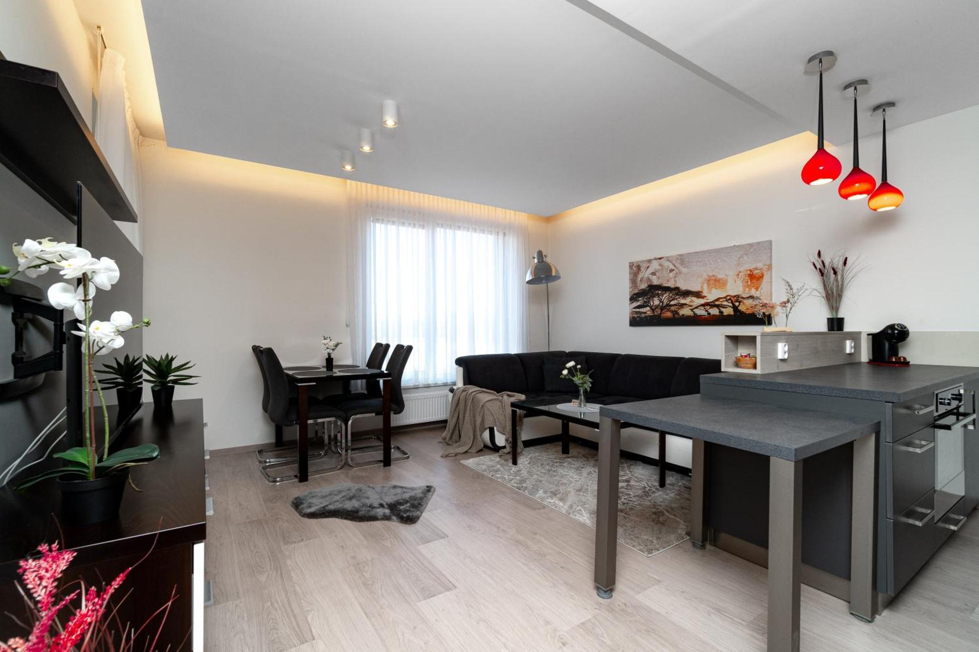 New Beautiful In The Center Of With Option Garage Parking Apartment Ostrava