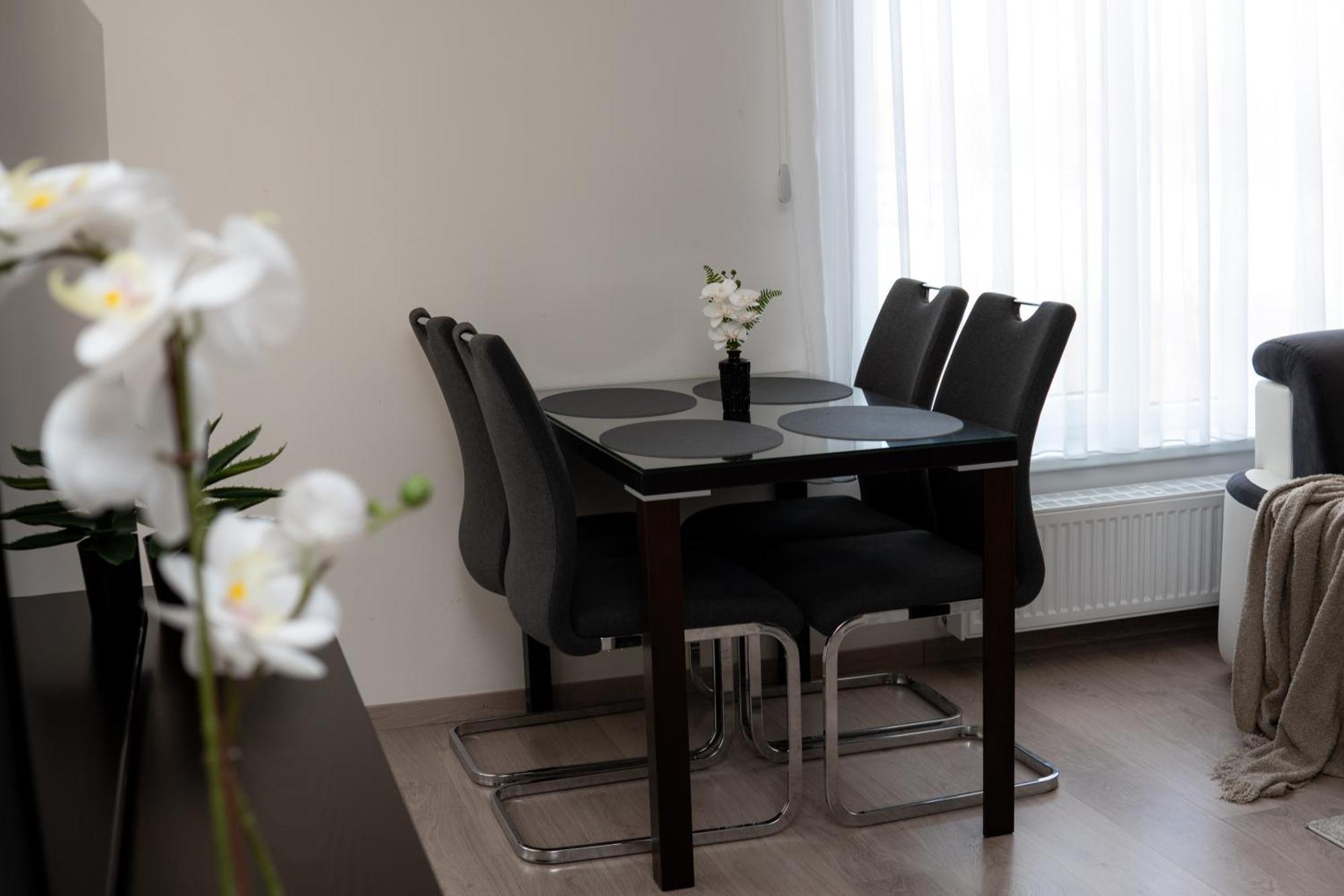 Apartment New Beautiful In The Center Of With Option Garage Parking Ostrava